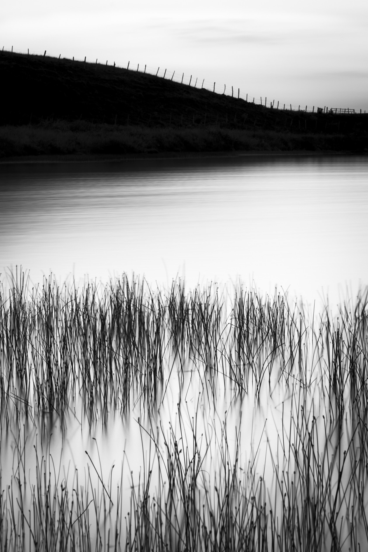 Lac d’en haut, La Godivelle, Puy-de-Dôme #2 - Août 2018